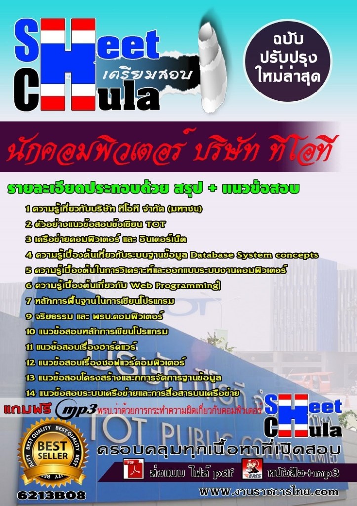 6213B08 นักคอมพิวเตอร์ บริษัท ทีโอที