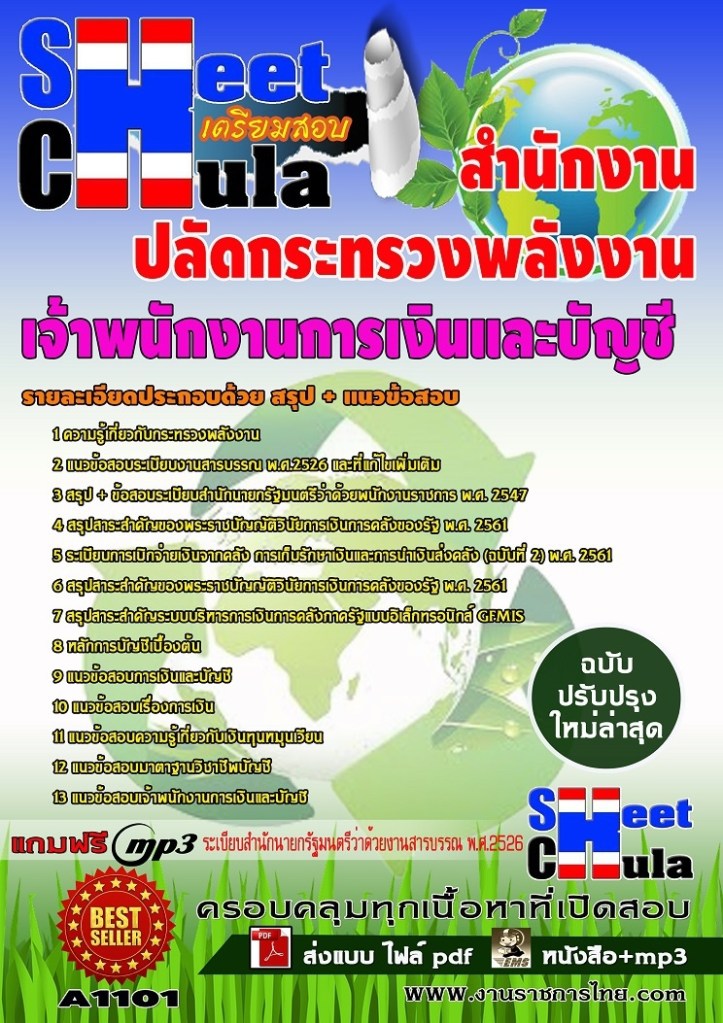 A1101 เจ้าพนักงานการเงินและบัญชี สำนักงานปลั